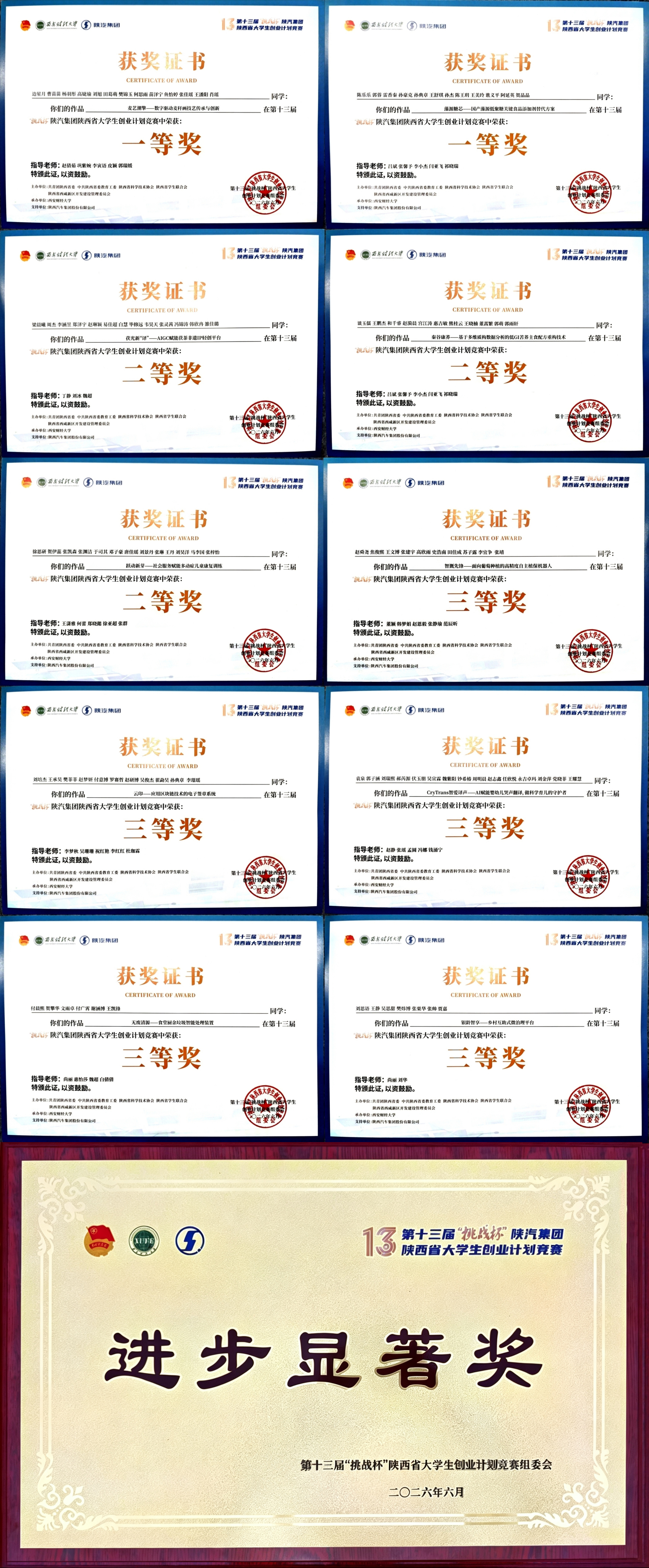 获奖证书与奖牌 获奖证书与奖牌